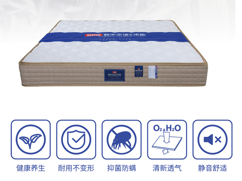 铜仁爱我爱你-2520